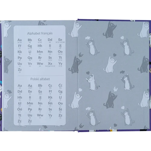 Зошит-словник для іноземної мови Kite UA Cats 60 аркушів (K24-407-1): Тип Словарь