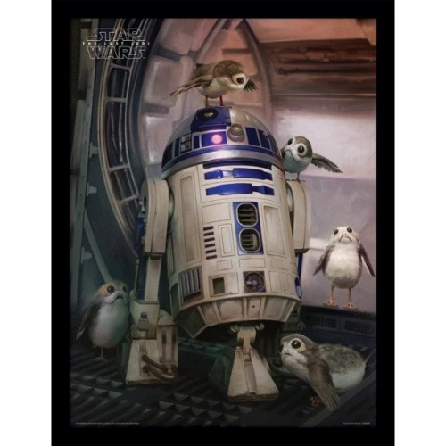 Настенный декор Постер в раме Pyramid International Star Wars The Last Jedi (R2-D2 & Porgs)/Звездные войны 30х40см (FP12078P-PL)