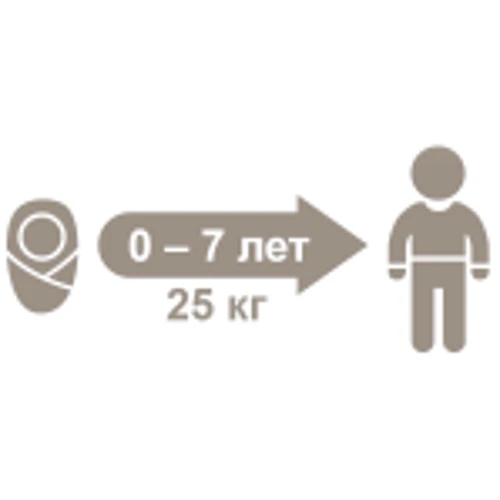 Автокресло Daiichi First7 Fix 0-25 кг Organic Brown (8809405851659): Группа 0-1-2