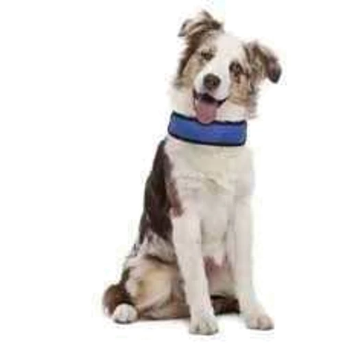 Нашийник Croci Harness Fresh охолодний синій 50х6 см (C5020254): Виробник Croci