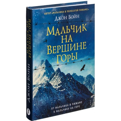 Джон Бойн: Мальчик на вершине горы фото 7