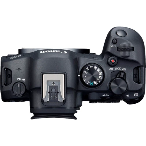 Canon EOS R6 Mark II + MT ADP EF-EOSR: Размер матрицы 36x24 мм