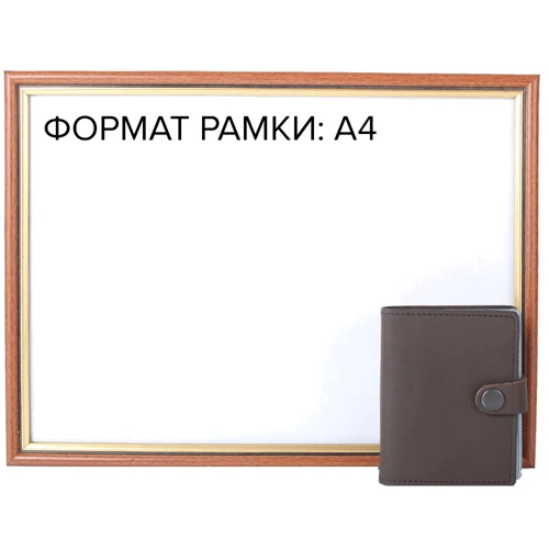 Чоловіча візитниця DNK Leather DNK Leather коричнева (DNK-Cards-Kcol-F): Стать Чоловік
