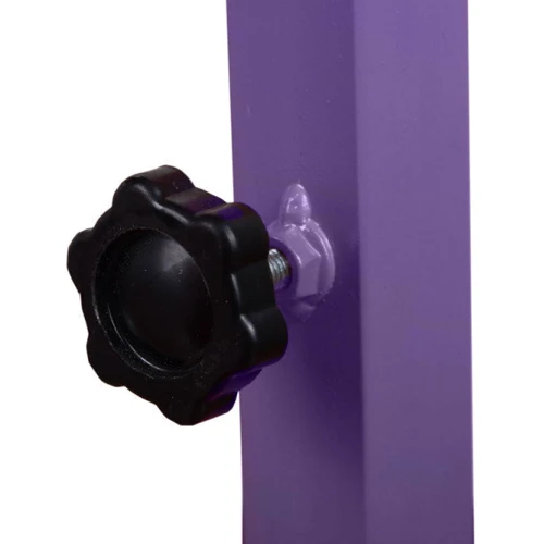 Комплект Сектор Легенда парта со стульчиком трансформеры (Легенда)