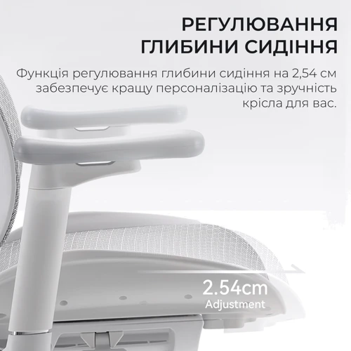 Офисное кресло Sihoo DORO S100 Mesh White (S100-M302)