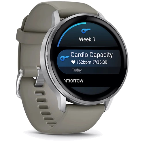 Смарт-часы Garmin Venu 4 45mm Silver with Silver Grey Silicone Band (010-03014-01)