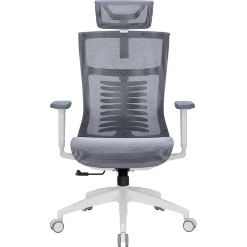 Офісне крісло OfficePro Balance OC620-W-DG-DG: Тип для персоналу