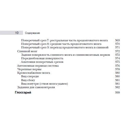 Беар, Коннорс, Парадізо: Нейронауки. Дослідження мозку. Том 1 (4-е видання): Виробник Вільямс