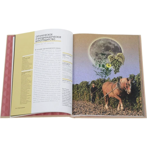 Вино за 30 секунд: ISBN 978-5-386-10150-3