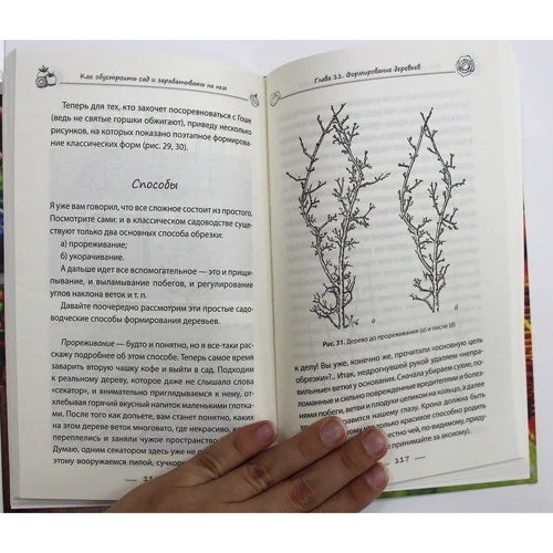 Василий Тыбель: Как обустроить сад и зарабатывать на нем: Количество страниц 208