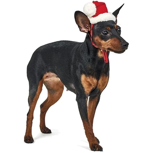 Колпак для собак Pet Fashion Новогодний S (4823082404544): Тип Шапки