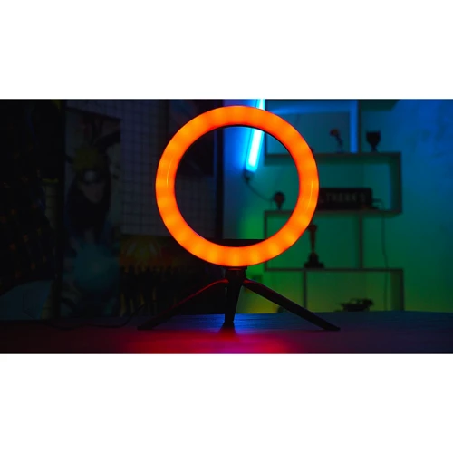 Magic Lamp Wonder Makers MINI + TikTok Академия от Magic Five: Производитель Wonder Makers
