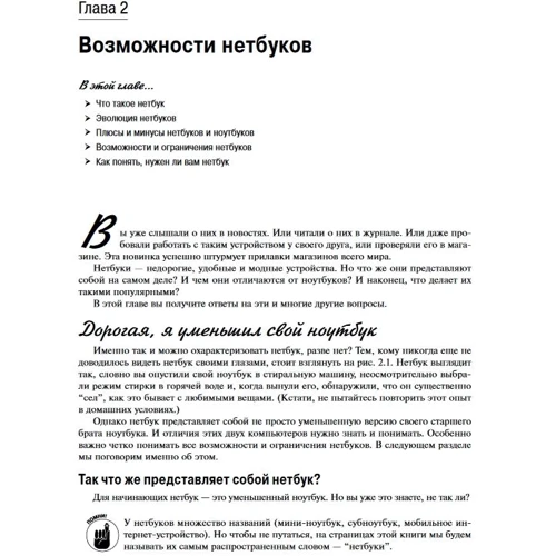 Джоэл Макнамара: Нетбуки для чайников: Производитель Вильямс