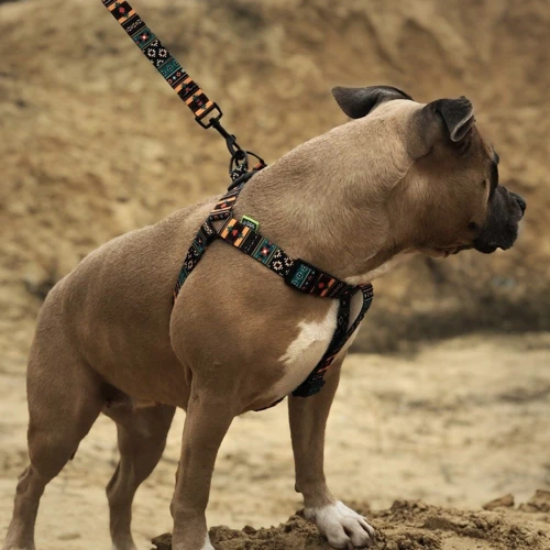 Шлей Hidog Boha green 26-40см/1см (125\1004): Виробник HiDog
