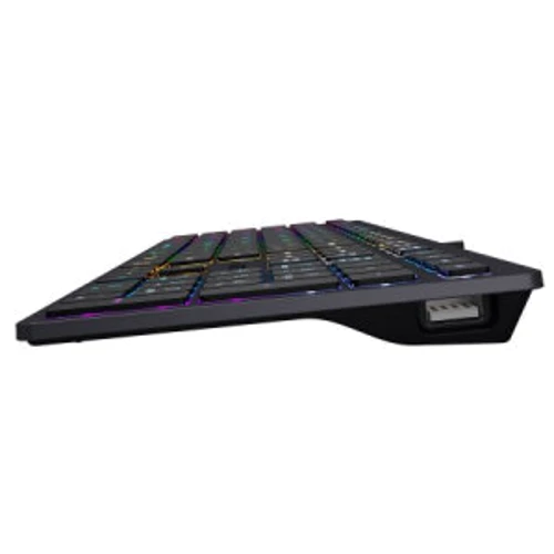 Клавиатура A4Tech FX60H Grey Neon Backlit: Тип клавиатуры стандартная
