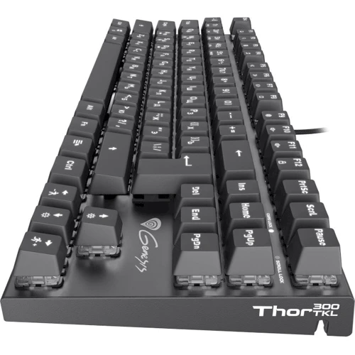 Клавиатура Genesis Thor 300 TKL (NKG-1826): Количество клавиш 87