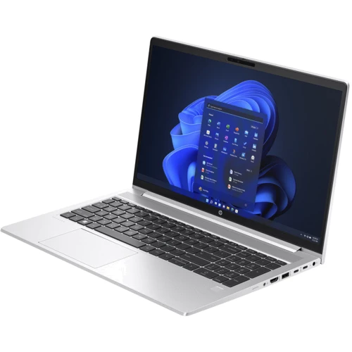 Ноутбук HP ProBook 450 G10 (8L0D9UA) RB: Тип экрана матовый