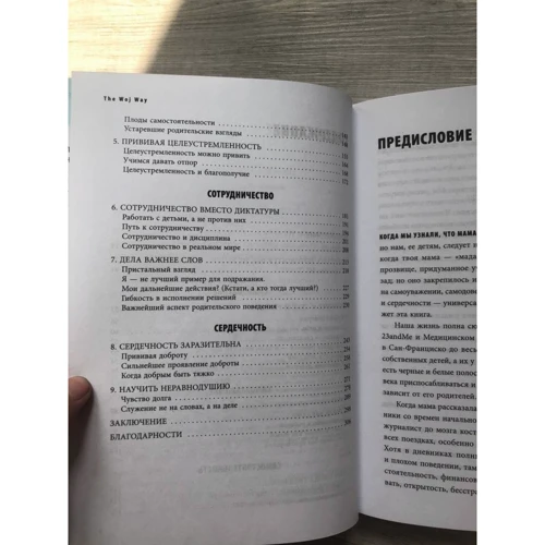 Естер Войджіцкі: The Woj Way. Як виховати успішну людину: Кількість сторінок 320