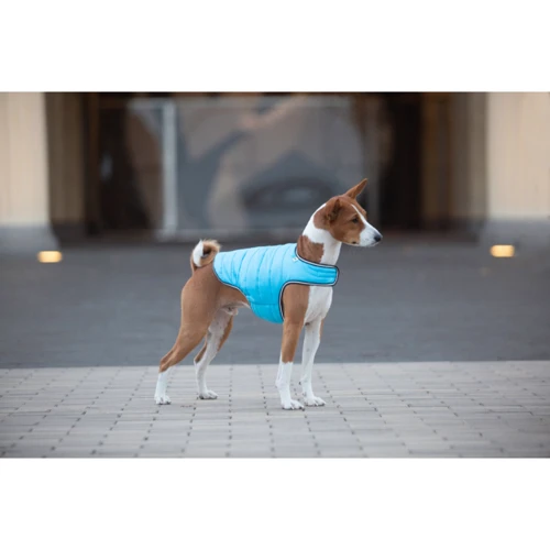 Курточка-накидка для собак AiryVest S B 41-51 см С 25-35 см голубая (15422): Обхват шеи 25-35 см
