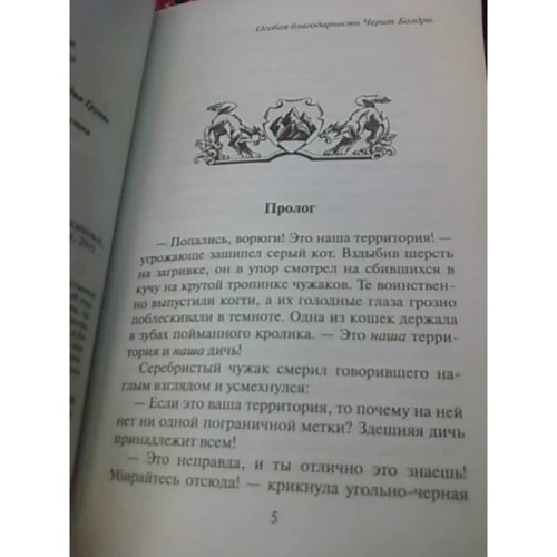 Эрин Хантер: Коты - воители. Отверженные: Количество страниц 352