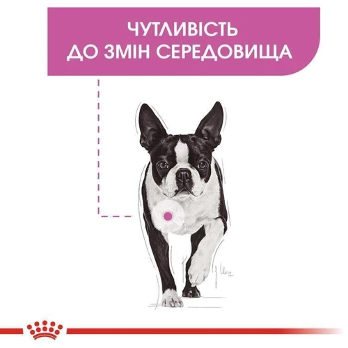 Сухой корм Royal Canin Mini Relax Care Adult для собак малых пород, чувствительных к изменениям среды 1кг (1224010): Основные ингредиенты Курица