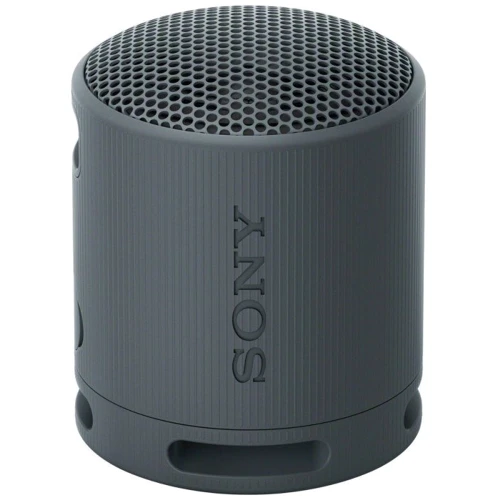 Акустика Sony SRS-XB100 Black (SRSXB100B.CE7)