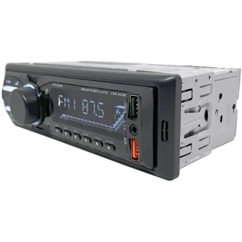 Celsior CSW-2403M: Формфактор 1 DIN