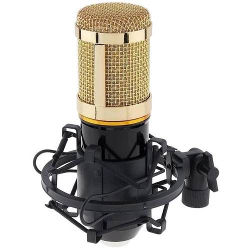 Мікрофон FZONE BM-800 KIT Black: Спосіб підключення Провідний