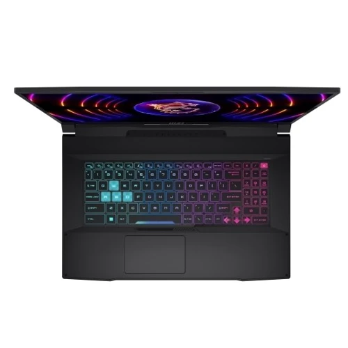 Ноутбук MSI Katana (B12VEK-434XUA) UA: Экран 17.3" IPS (1920x1080)