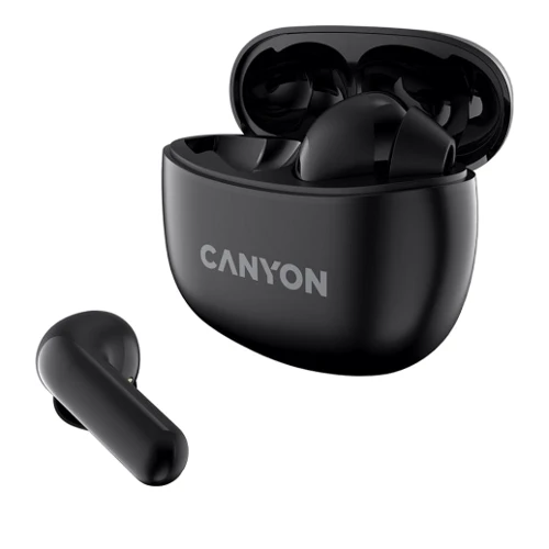 Наушники Canyon TWS-5 Black (CNS-TWS5B): Дополнительно TWS наушники