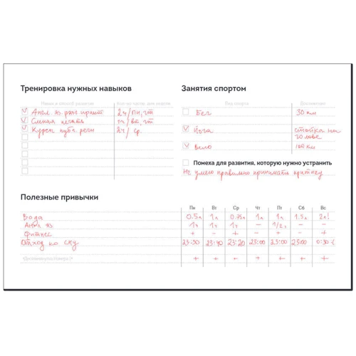 Ігор Манн: Тижневик Номери 1. Шлях до мети фото 9
