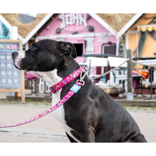 Поводок короткий для собак Max & Molly Short Leash - Magical S (4894512052413): Вид Обычный