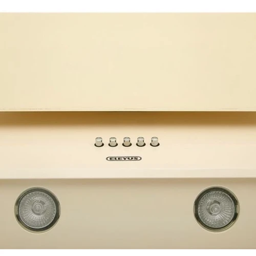 Вытяжка Eleyus Focus 700 50 BG: Тип монтажа Настенный