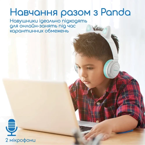 Наушники Promate Panda Aqua (panda.aqua): Тип конструкции полноразмерные