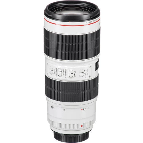 Об'єктив для фотоапарата Canon EF 70-200mm f/2,8L IS III USM: Тип об'єктива телеоб'єктив