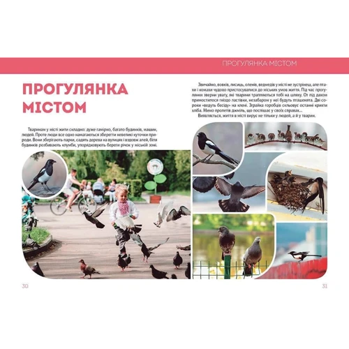 Велика книга про тварин: Виробник Талант