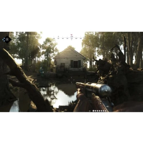 Hunt Showdown (PS4): Жанр Экшн