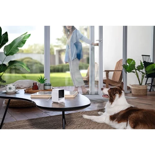 Компактна HD-камера Petcube Cam з нічним баченням та двостороннім аудіозв'язком фото 7