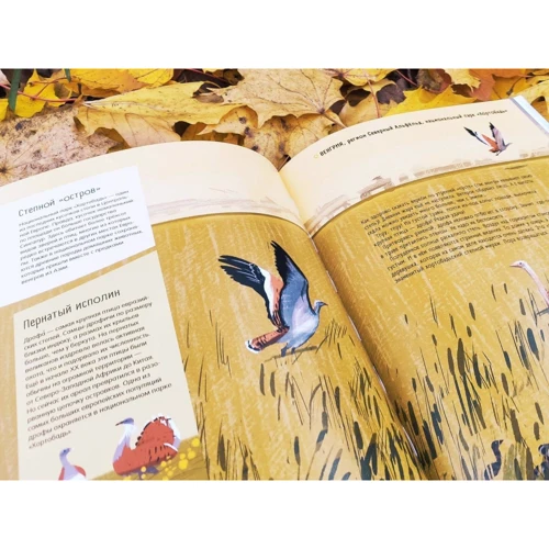 Юрий Маслов-Острович: Степи, прерии, пампасы. Один год жизни исчезающего биома: ISBN 978-5-907471-02-3
