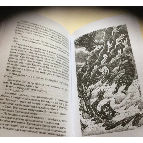 Эрин Хантер: Коты-воители. Гроза Ежевичной Звезды. Бедствие: Производитель Абрис Олма