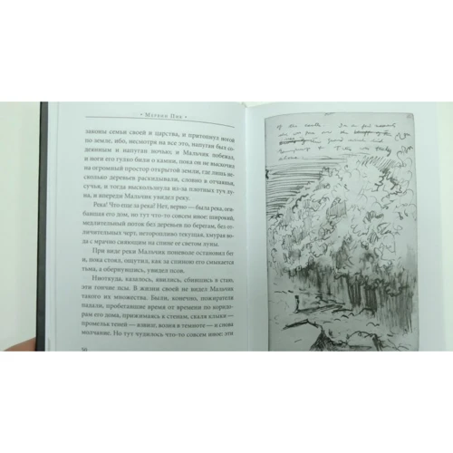 Мервин Пик: Мальчик во мгле и другие рассказы: Производитель Livebook