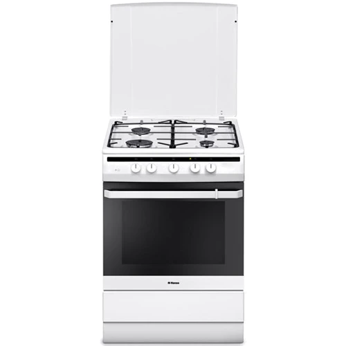Газовая плита Hansa FCGW62040