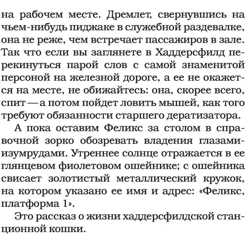 Феликс с железной дороги: Количество страниц 320