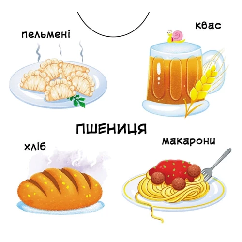 Перша книжка з рухомими елементами. З чого це зроблено. Дивуйся, читай, крути, штовхай: Кількість сторінок 10