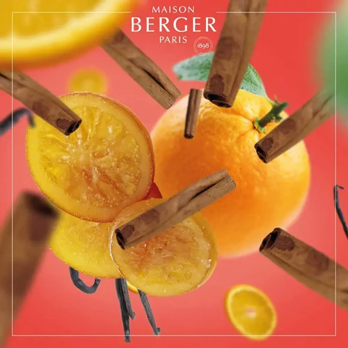 Аромат для диффузора Maison Berger Paris ORANGE CINNAMON 200 мл (6032) фото 2