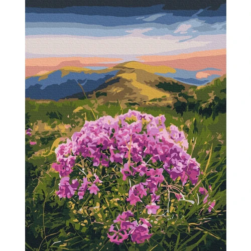 Картина по номерам Brushme Цветение Карпат © Roksolana Baran 40х50 см (BS53750)