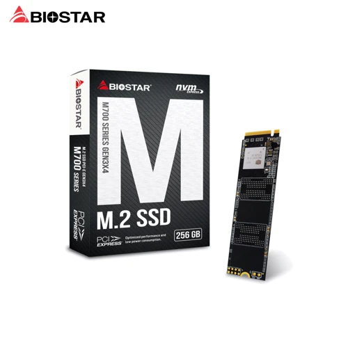 Biostar M720 256 GB (M720-256GB): Тип накопителя внутренний