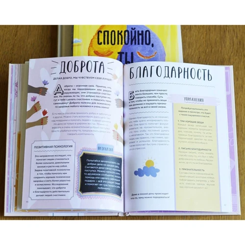 Тина Рэй: Я не ОК и это ОК. Гид по хорошему настроению, ментальному здоровью и заботе о себе: Обложка Твердая