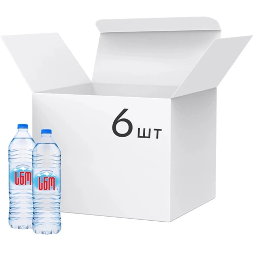Упаковка минеральной природной негазированной воды SNO 6х1 л (4860102580130_6)