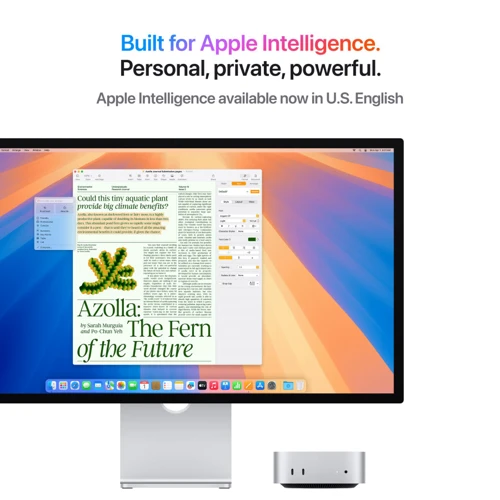 Компьютер Apple Mac Mini M4 256GB (MU9D3UA/A) 2024 фото 6